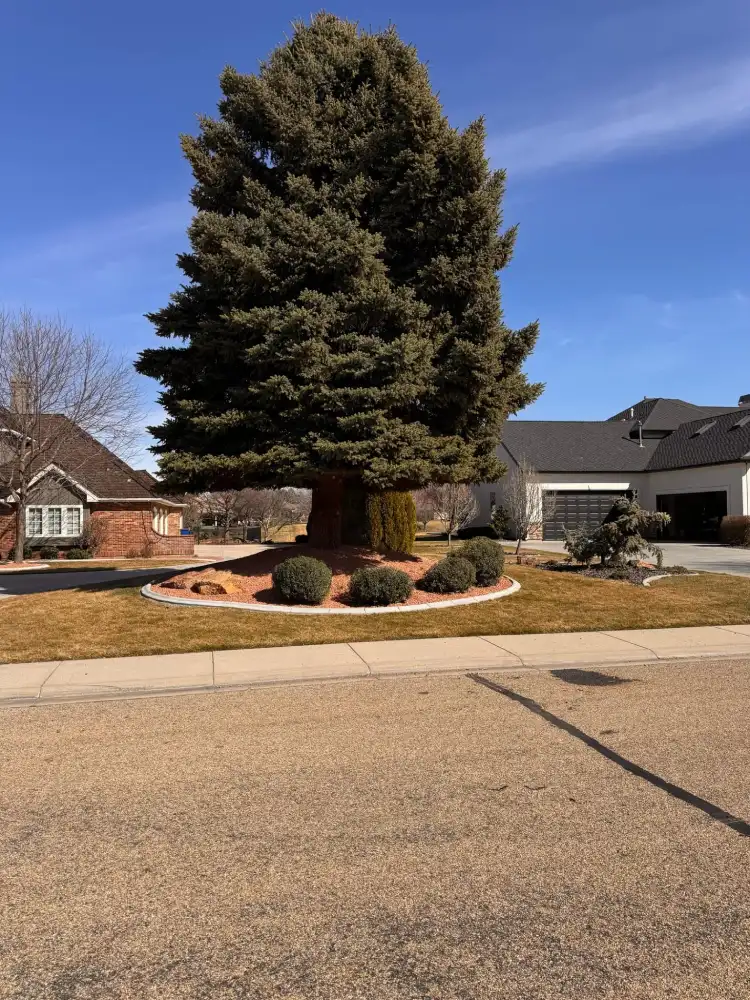 image - 2025-04-17T164828